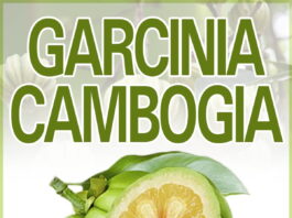Garcinia Cambogia - ดีจริงไหม - พันทิป - สั่งซื้อ - วิธีนวด